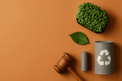 Why Redivium Pulled the Plug on Its €2.5M Green Bond Plan