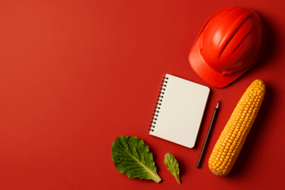 Elders Limited Reports FY25 EBIT Growth Amid Strategic Expansion and Leverage Reduction