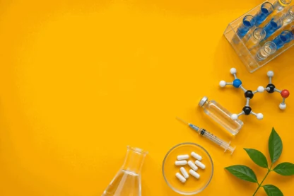 Previous Article Image