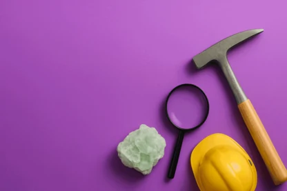 Previous Article Image