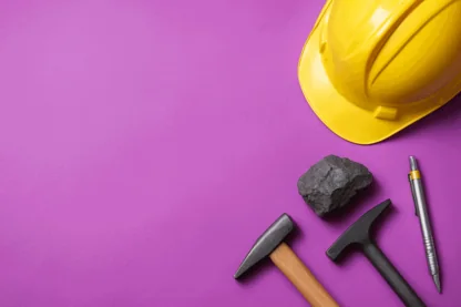 Previous Article Image