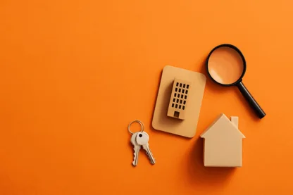 Previous Article Image