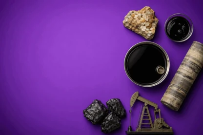 Previous Article Image