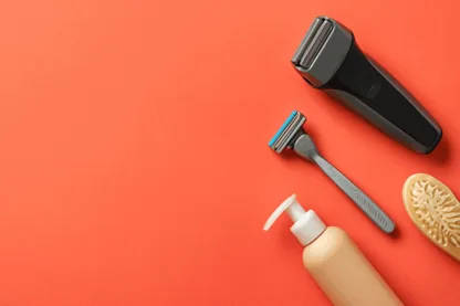 Previous Article Image