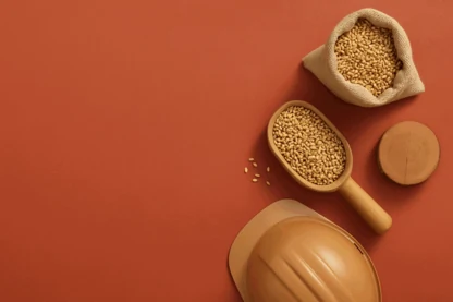 Previous Article Image