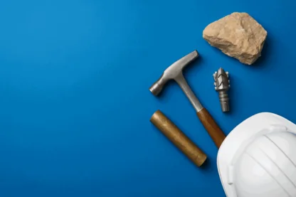 Previous Article Image