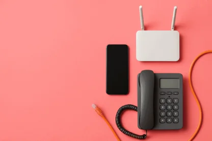 Previous Article Image