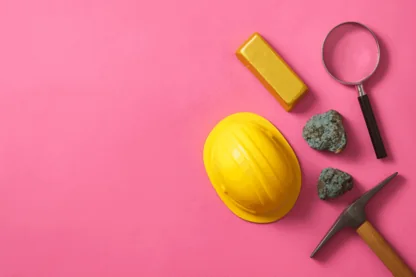 Previous Article Image