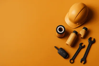 Previous Article Image