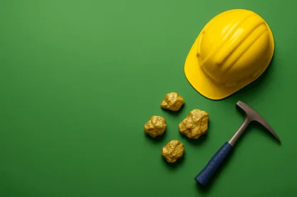 Previous Article Image