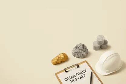 Previous Article Image