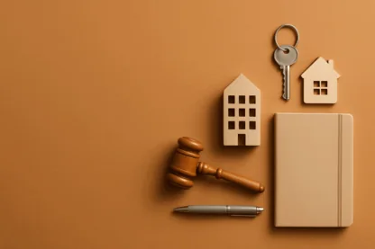 Previous Article Image