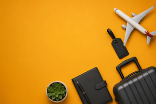 Webjet Names Nicole Sheffield as New CEO to Drive Digital Growth