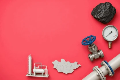 Previous Article Image