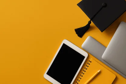 Previous Article Image