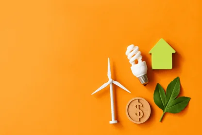 Previous Article Image