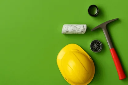 Previous Article Image