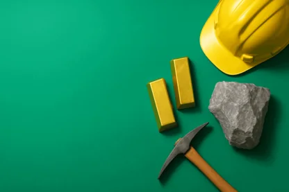 Previous Article Image