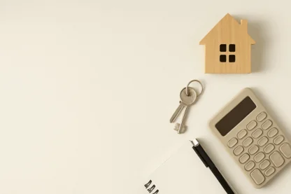 Previous Article Image