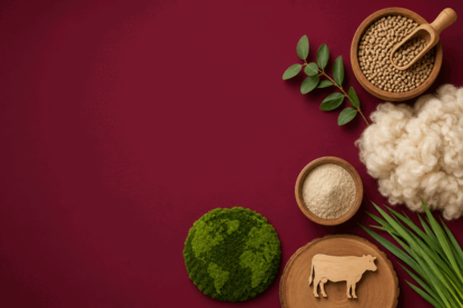 Sea Forest’s Revenue Nearly Doubles as Low-Carbon Wool Goes Global