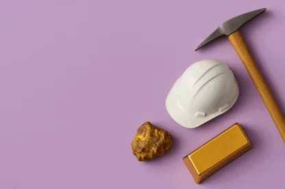 Previous Article Image