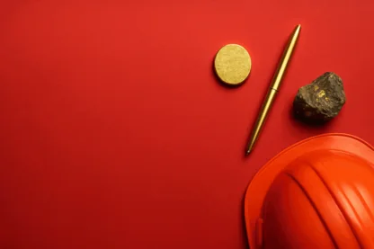 Previous Article Image