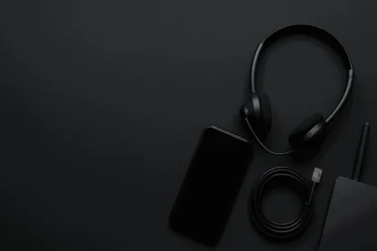 Previous Article Image