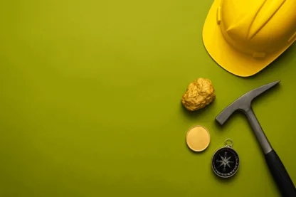 Previous Article Image