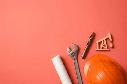 Previous Article Image