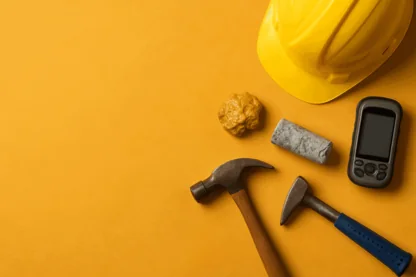 Previous Article Image