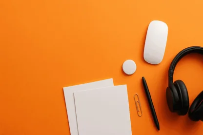 Previous Article Image