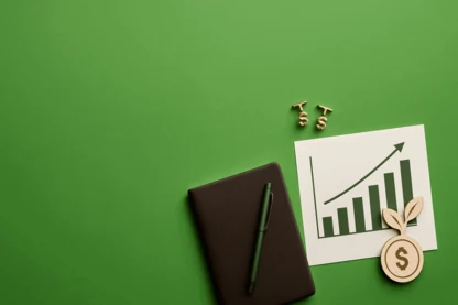 Previous Article Image