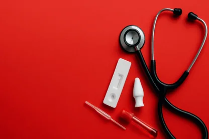 Previous Article Image