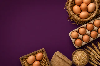 Farm Pride Advances Egg Production Amid Margin Pressures and Capital Discipline