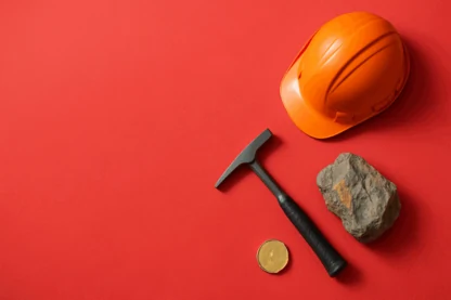 Previous Article Image