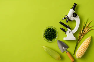 BPH Global Advances Seaweed Bio-Stimulant R&D with Temasek Polytechnic