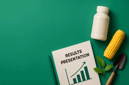 Previous Article Image