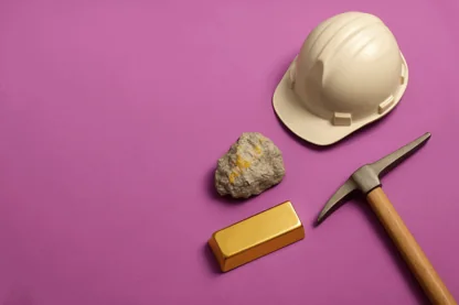 Previous Article Image