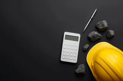 Previous Article Image