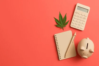 Previous Article Image