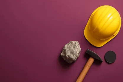 Previous Article Image