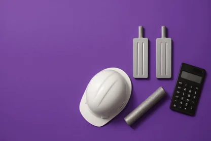 Previous Article Image