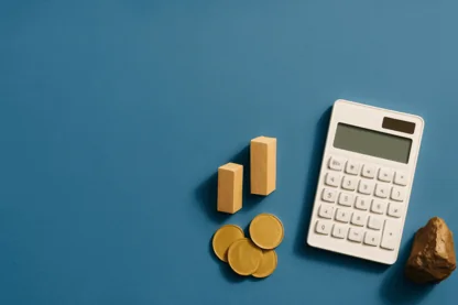 Previous Article Image