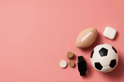 Previous Article Image