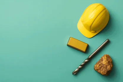 Previous Article Image