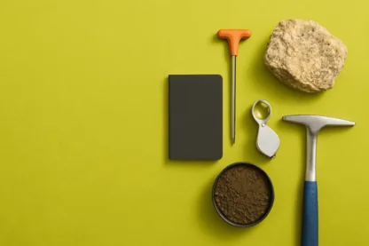 Previous Article Image