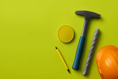 Previous Article Image