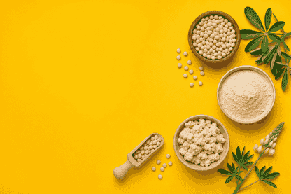 WOA Simplifies Royalty to Boost Lupin Protein Scale-Up
