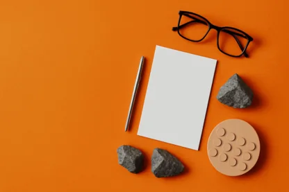 Previous Article Image