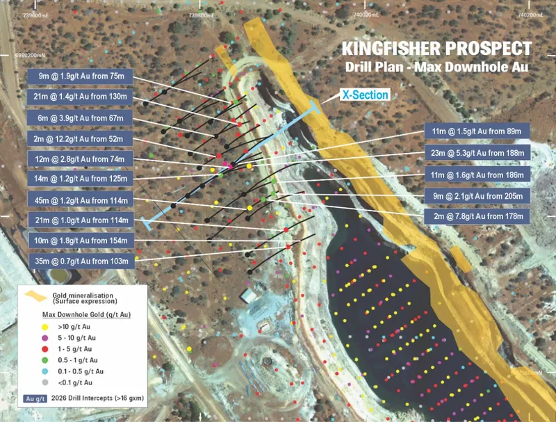 Kingfisher drill hole plan showing all drill collars coloured by max. downhole gold (g/t) and recent drill hole gold intercepts over satellite image